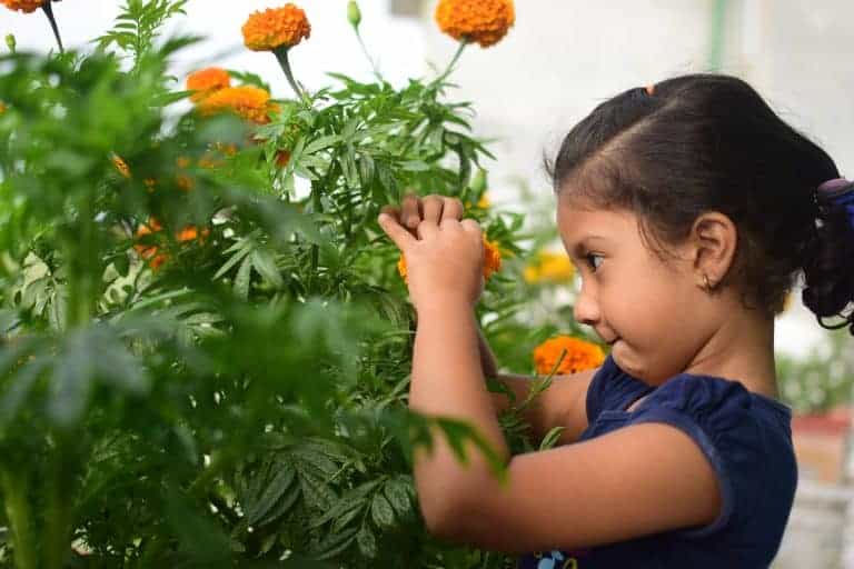 young girl concentrating in the garden