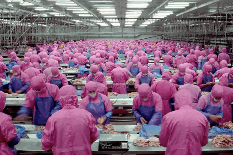 Pink-gowned workers as far as the eye can see in a modern meat-packing factory