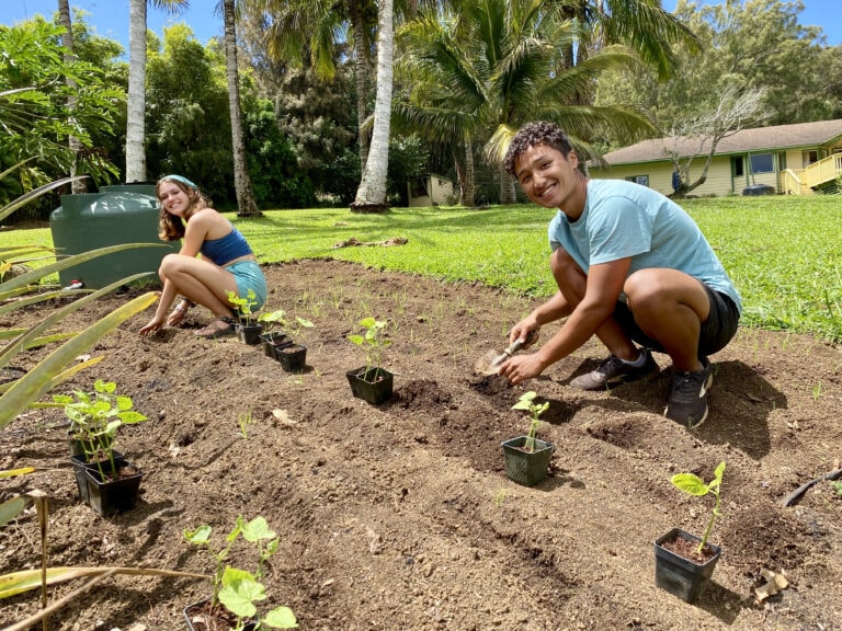 Two Gentle World volunteers plant string beans in our Hawaii veganic demonstration garden