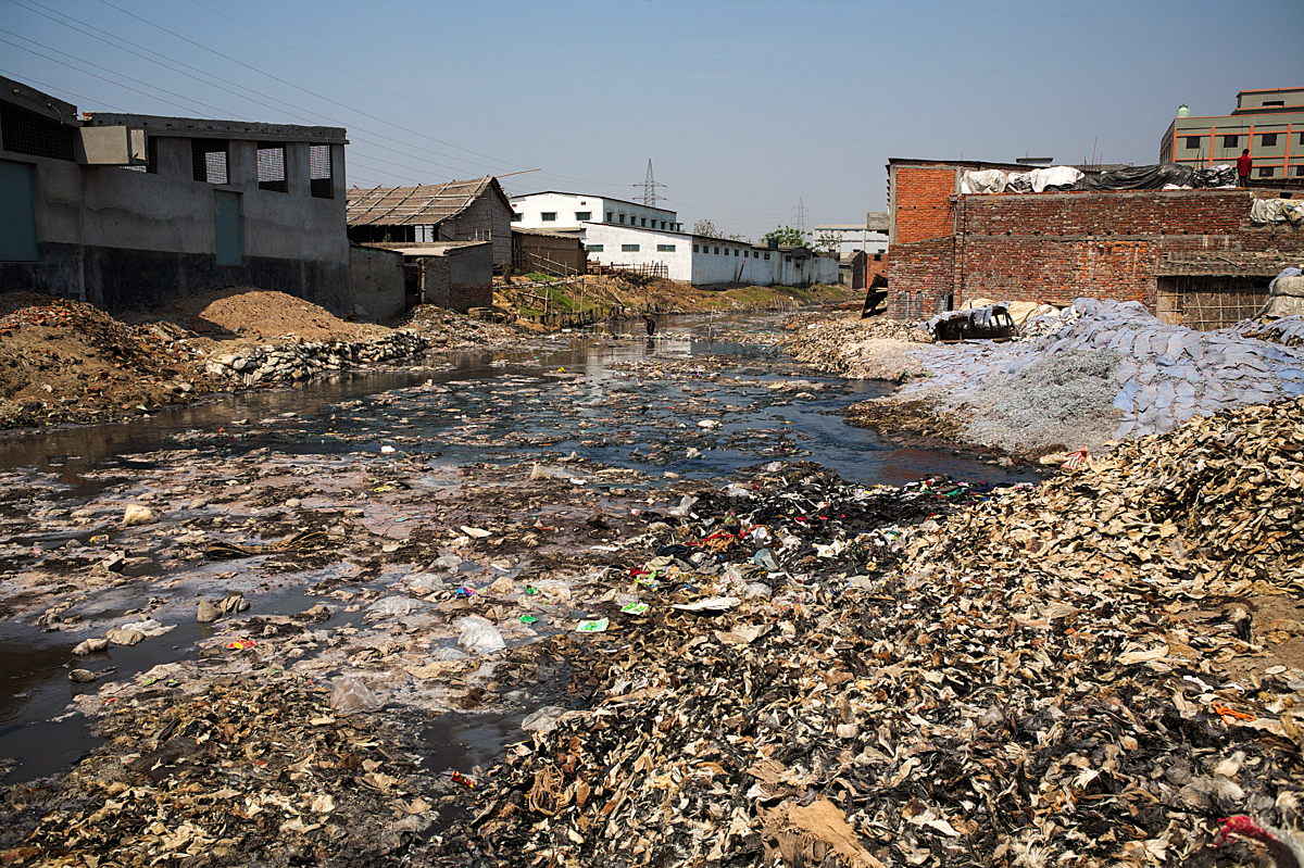 Read more about the article Leather’s Environmental Lie