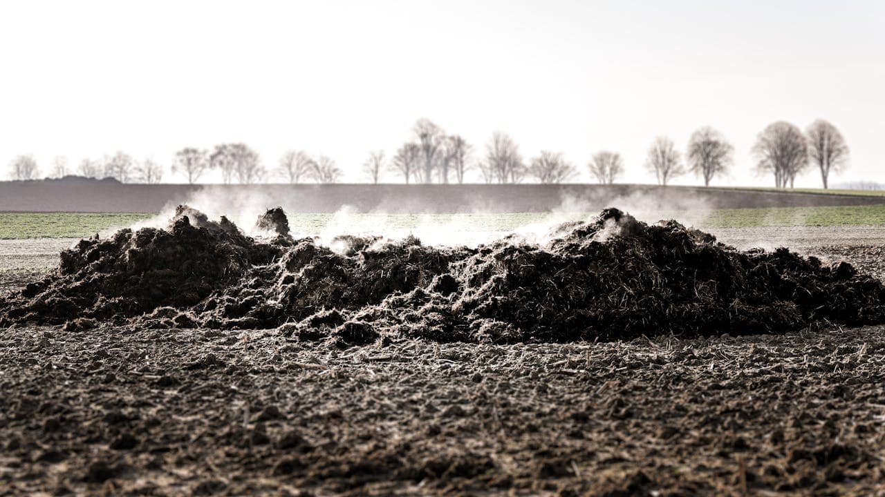 Read more about the article Are Animal Farms Poisoning Our Organic Food? 
