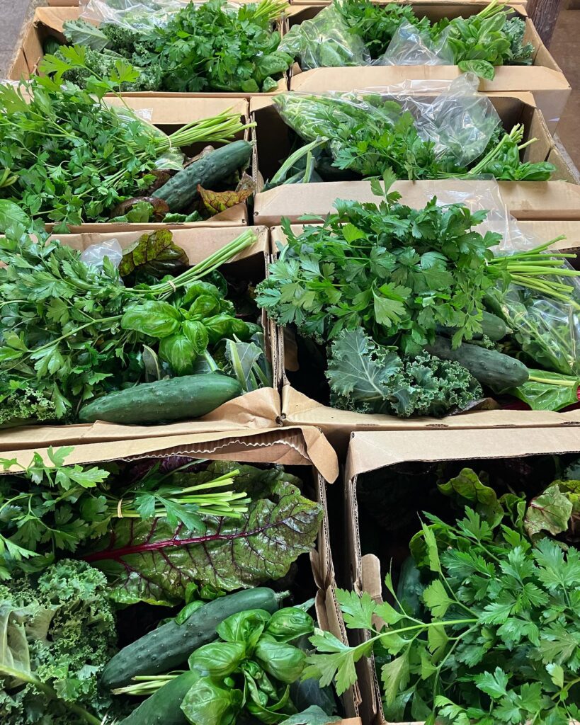 tolhurst-veganic-produce