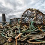 The Fishing Industry: A Major Driver of Ocean Plastic Pollution