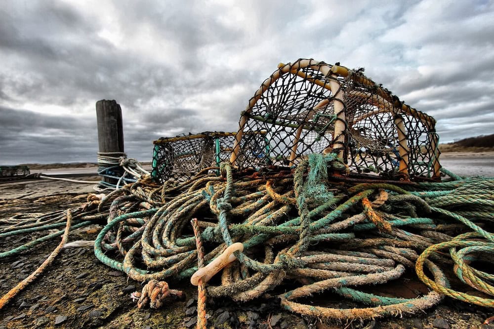 Read more about the article The Fishing Industry: A Major Driver of Ocean Plastic Pollution