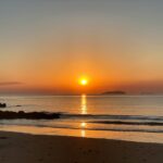 Veganism Will Always Rise