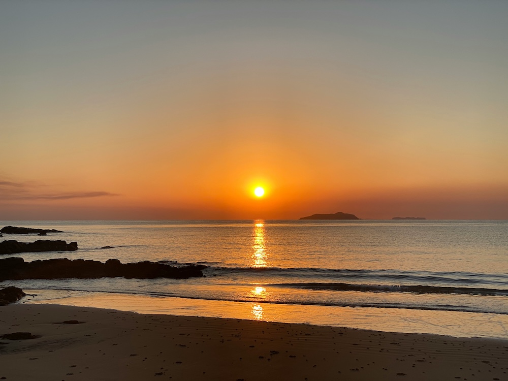 Read more about the article Veganism Will Always Rise